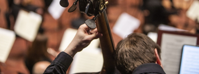 A musician plays the double bass