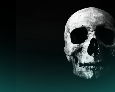 A skull.