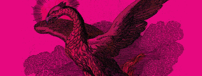 An etched drawing of a phoenix with it's wings spread