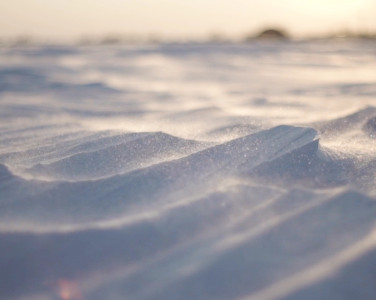A close up of sandunes with the sunset in the background
